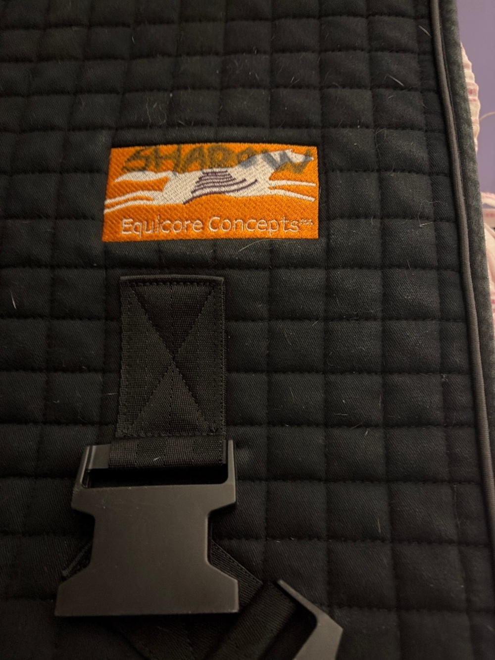 Equine core strength and back straightening exercise device for horses